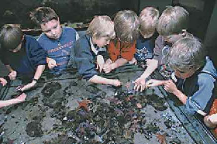 Zum Anschauen  klicken!